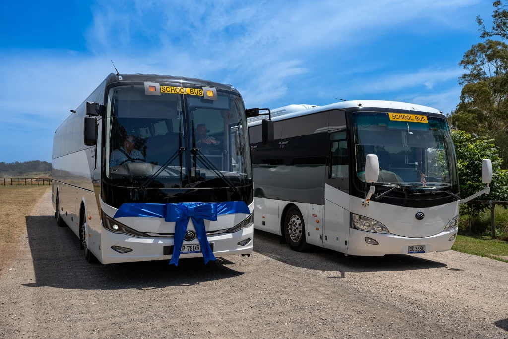 Two Yutong school buses parked outdoors, one decorated with a blue ribbon to mark VDI Australia’s 300th Yutong delivery milestone in 2024.
