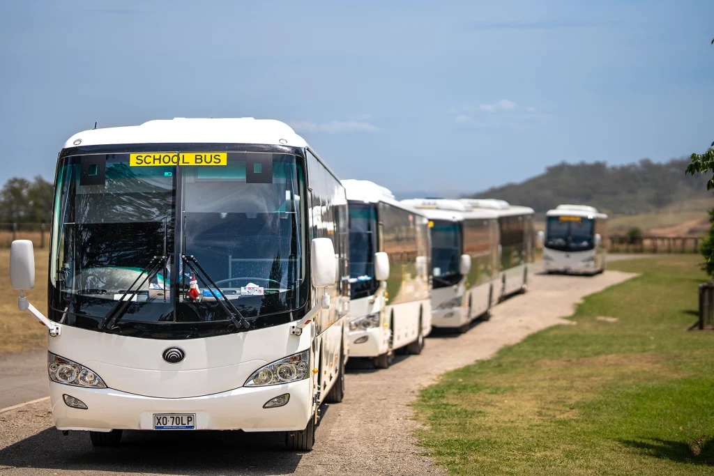 A line of Yutong school buses parked outdoors, representing the reliable fleet used by Macarthur Anglican School in New South Wales to transport 800 students daily